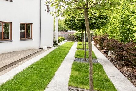 AdobeStock_114613011